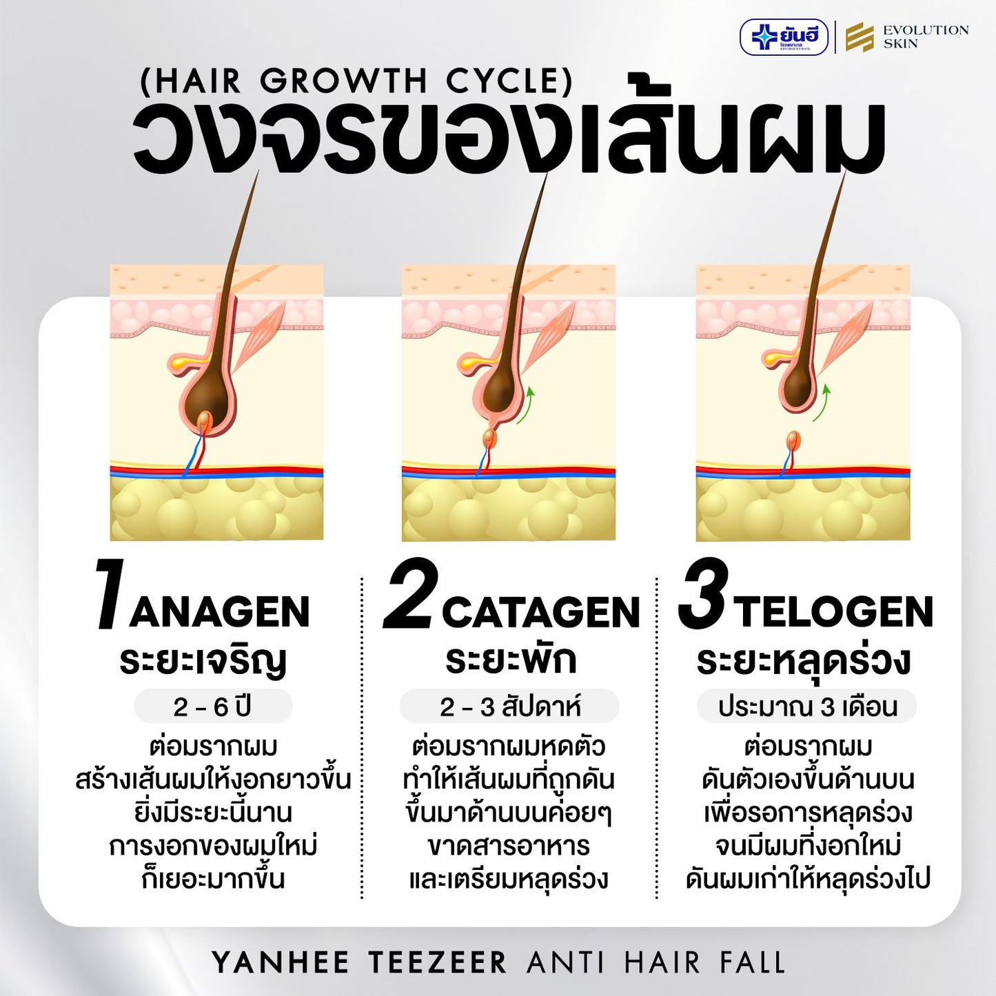 Yanhee Teezeer Anti Hair Fall Nourishes Hair Roots Control Serum 60 ml